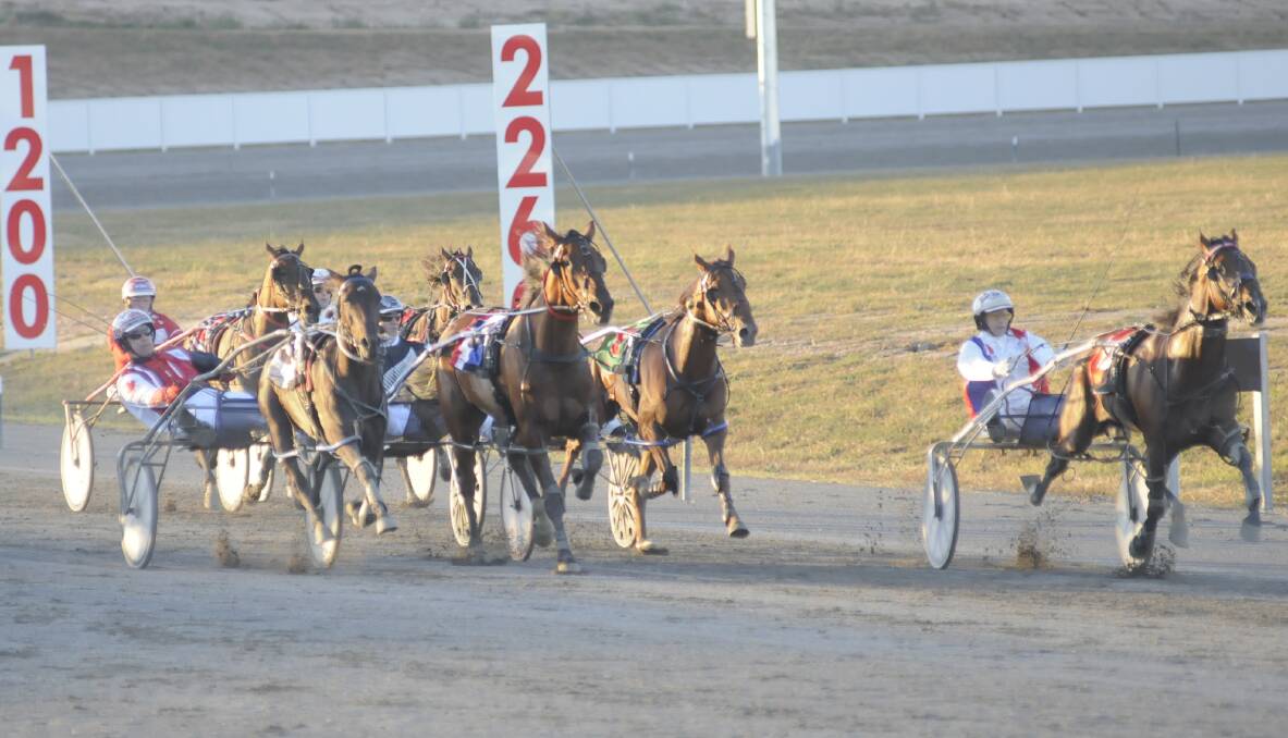 VIVA LA FRANCE: French representative Tony Le Beller guides Fours Enuf Tas to victory in the first World Driving Championship heat staged at the Bathurst Paceway on Wednesday evening. Photo: CHRIS SEABROOK 	022515ctrots1