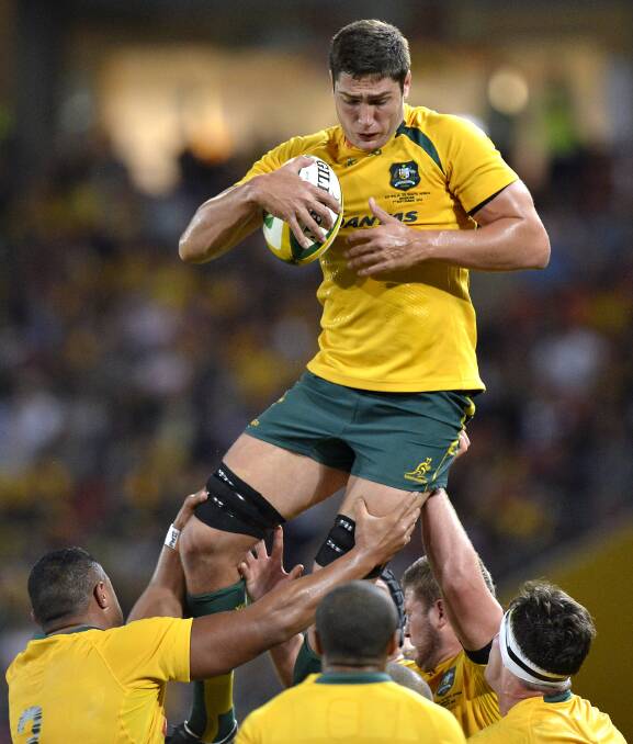 RISING UP: Rob Simmons and his Wallabies team-mates are hoping to lay their hands on the Bledisloe Cup this year. Photo: GETTY IMAGES 			0806simmons