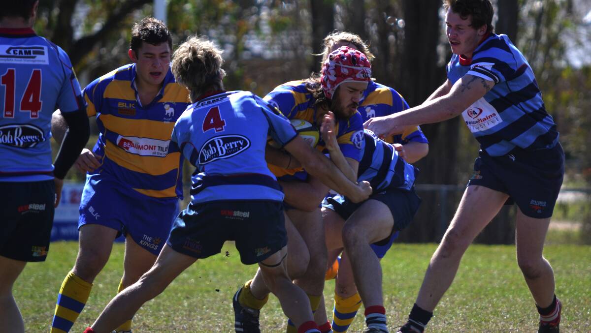 WHAT A CHANGE: While the Bathurst Bulldogs colts side were solid in the first week of finals, John Melville pictured hitting the Dubbo line hard, in Saturday’s grand final qualifier against Orange City there were few positives. Photo: ALEXANDER GRANT 	082314agdogscolts1