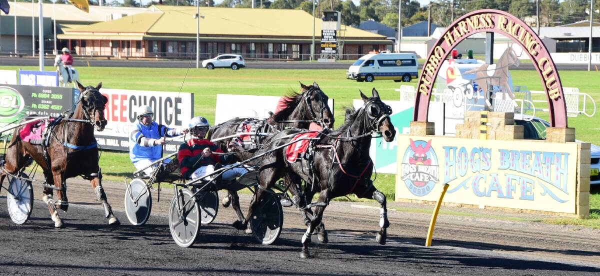 THAT’S MAGIC: Bathurst driver Mat Rue drove three winners at Dubbo on Sunday, one of them being this victory aboard Blackmagic Shannon. Photo: Brook Kellehear-Smith 	051716Rue