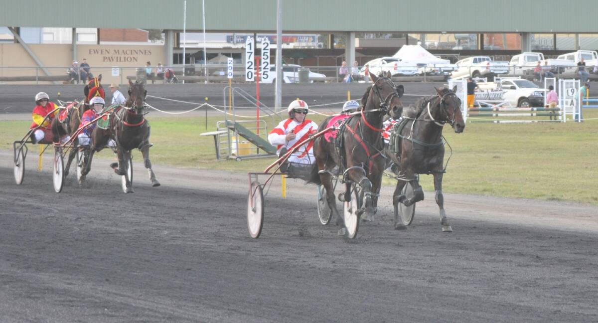 CHARGING HOME: Nathan Hurst has Saloon Passage motoring as he charges to victory in the Peter Lew Memorial Pace at Dubbo on Sunday. Photo: BEN WALKER	 DSC_0181