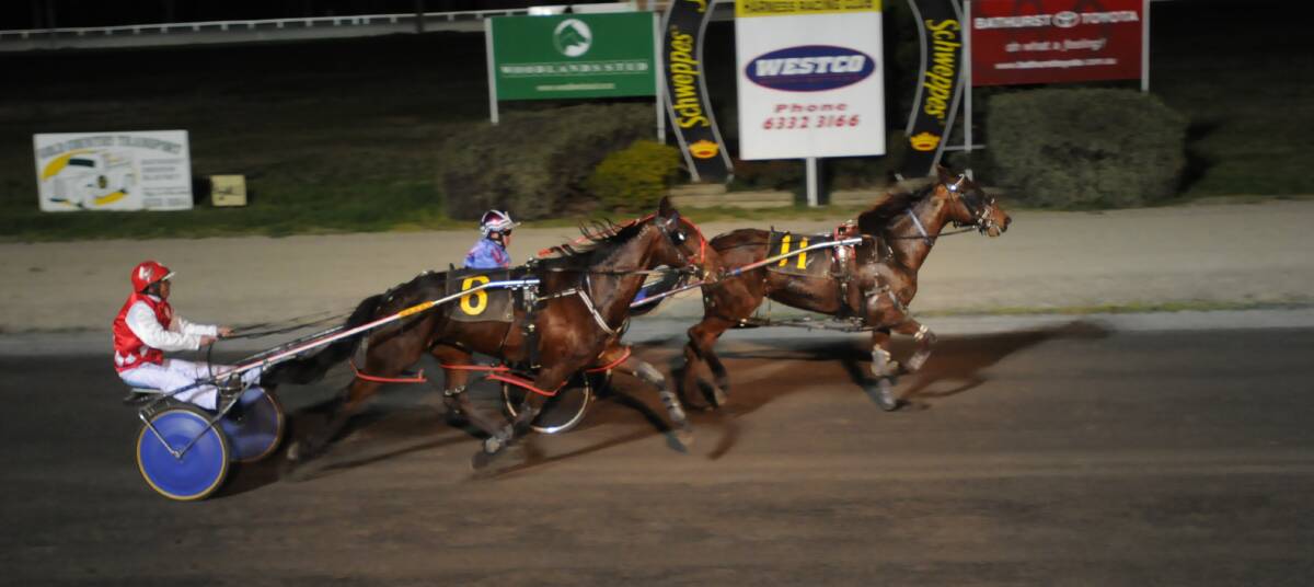 STRONG FIELD: Experienced campaigner Truly Miss Terious will contest one of the feature events on tonight’s card at the Bathurst Paceway. Photo: CHRIS SEABROOK 	083111ctrots1