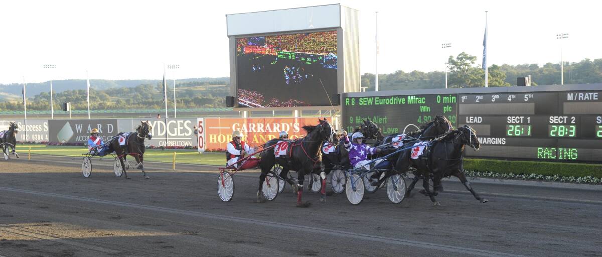 HIGHLIGHT: Bathurst’s Mat Rue notched up the 500th win of his career last week. Undoubtedly the biggest of those victories came with Baby Bling in the 2013 Miracle Mile. Photo: Michael Court 	0429132miracle