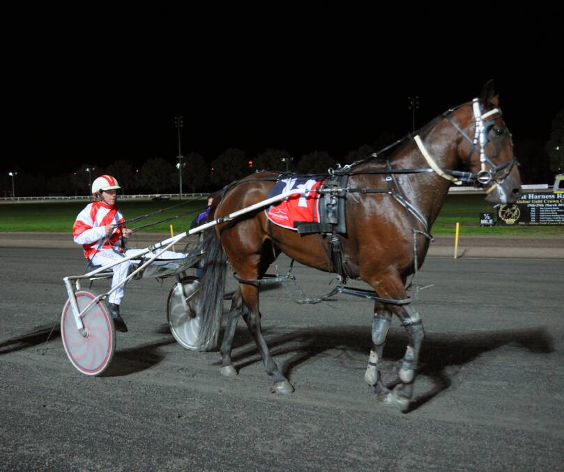 GOOD SEASON: Eglinton trainer-driver Nathan Hurst currently sits in the top 10 in both the Harness Racing NSW drivers’ and trainers’ premierships. HIs latest win came at Young on Sunday with Kyalla Luke in track record time. Photo: ZENIO LAPKA 	041114ztrots2