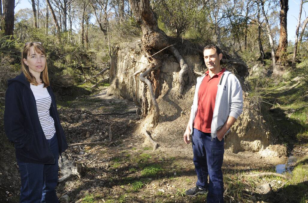 MAKING A CHANGE: Peter and Katrina McKinnon have plans to establish a koala corridor and restore eroded gullies on their property thanks to a council land improvement grant. Photo: CHRIS SEABROOK	 083114cgully3a