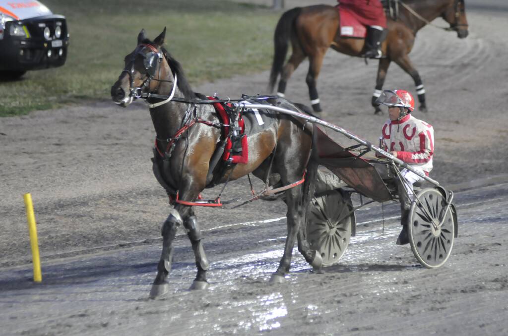 LAUGHING ALL THE WAY TO THE BANK: Laughing Game has won at the Bathurst Paceway in the past, but on Wednesday he shocked punters when he won as a $152.20 chance. Photo: CHRIS SEABROOK	 111611ctrots2