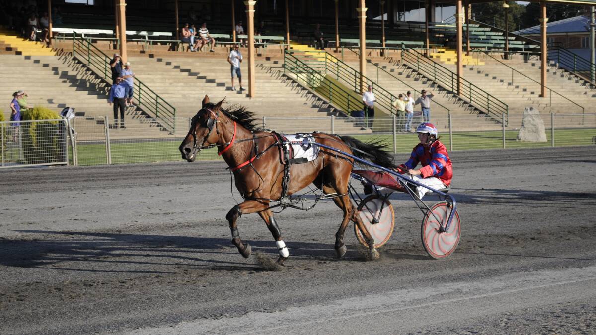 CLEANING UP: Amanda Turnbull and dad Steve both bagged a pair of gongs at the Harness Racing NSW awards night on Saturday. Photo: CHRIS SEABROOK 	021214ctrots1