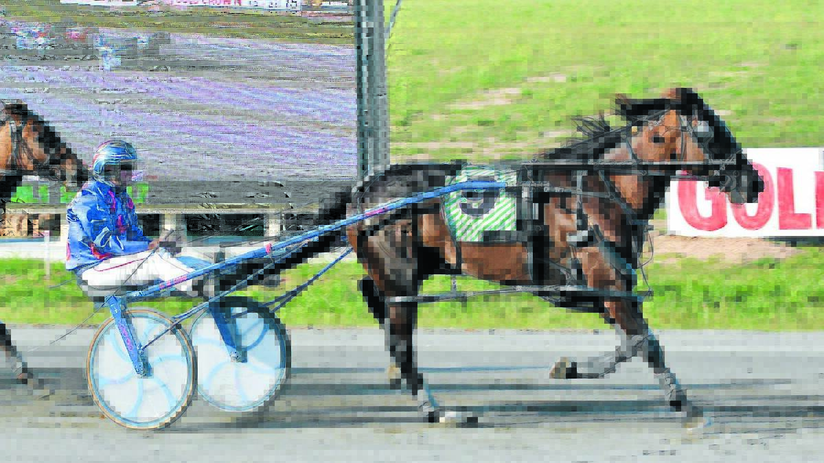 IN THE CLEAR: Premium Angus races away to take out the Garth & Norman Harkham Memorial (1,730m) at Bathurst Paceway on Wednesday. Photo: ZENIO LAPKA 	012815ztrots1