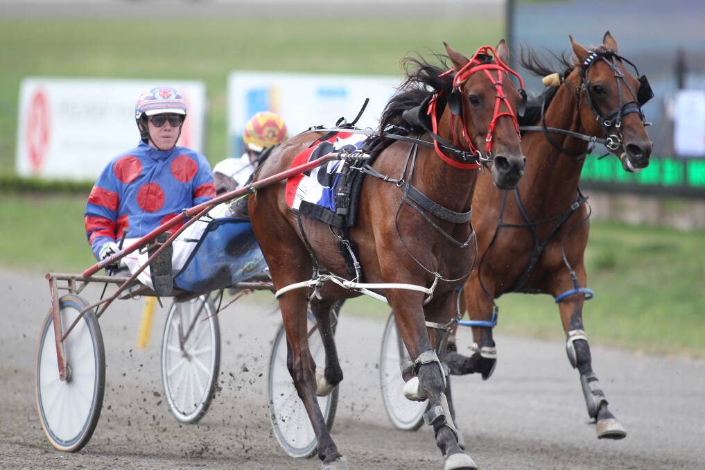 NICE RETURN: After starting his current preparation with a fourth last week, The Space Invader and driver Mitch Turnbull produced a good win on Wednesday. Photo: PHIL BLATCH 	012716pbtrots1