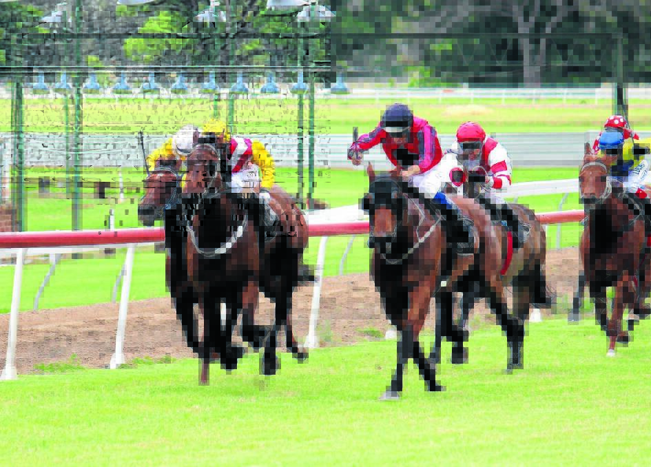 READY TO RIDE: Vortuka (second from left) and Binalong Road battle it out on Mudgee Cup day in December. Both will contest tomorrow’s Country Championships qualifier in Bathurst. Photo: DARREN SNYDER 	IMG_5339