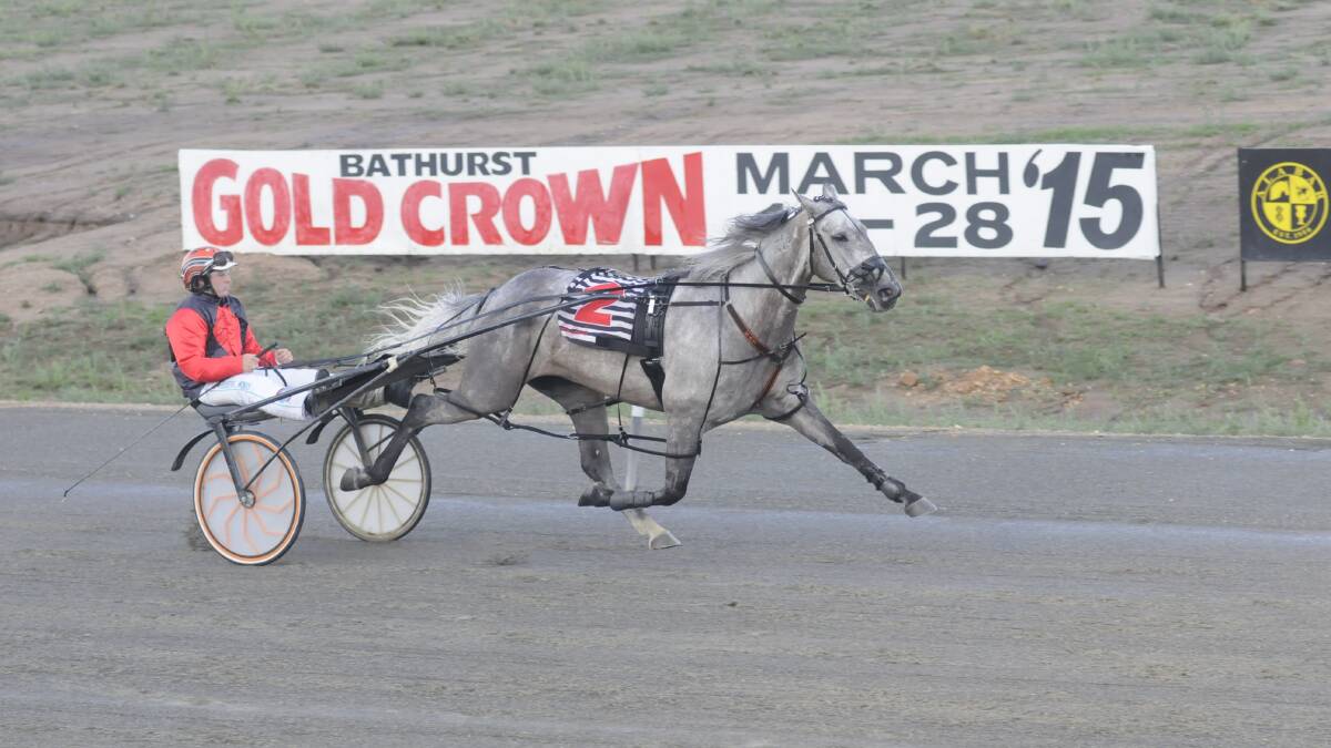 DOMINANT: Driver Robert Morris guides Ireby Betty to her first win in more than 12 months, easily taking out the opening heat of the Bathurst Harness Racing Club’s Soldiers Saddle series. Photo: CHRIS SEABROOK	121014ctrots1