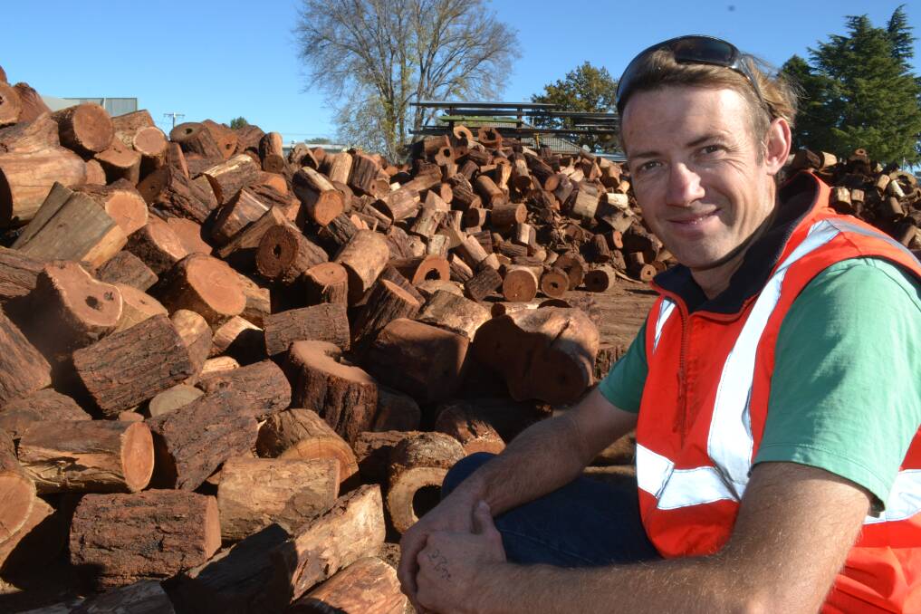 WOOD PILE: Lachlan Roberts from AAA Firewood in Bathurst says the beginning of winter and subzero temperatures signals the start of the silly season for his business. He is pictured with an enormous delivery of wood from way out west. Photo: BRIAN WOOD	 053016wood