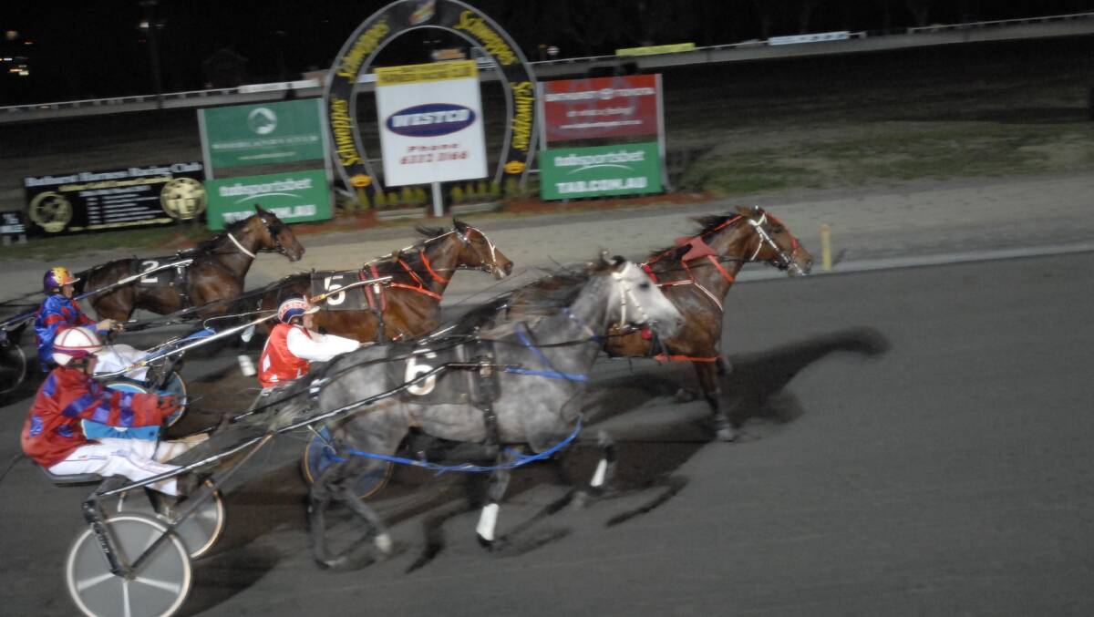 GO THE GREY: The Lagoon’s Amanda Turnbull will drive grey colt Im Blue Double Dee, pictured here in action at Bathurst, at tonight’s Carnival of Cups meeting at Penrith. 	082212ctrots4a
