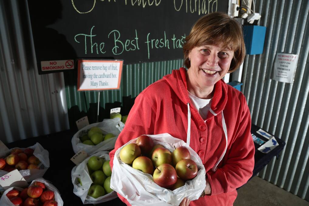 WINTER DELIGHTS: Gerbina Gordon says this past autumn has been great for apples at her family-run Yarralee Orchard on Marsden Lane. Tree-ripened apples are now on sale. Photo: PHIL BLATCH	 053116pbapples1