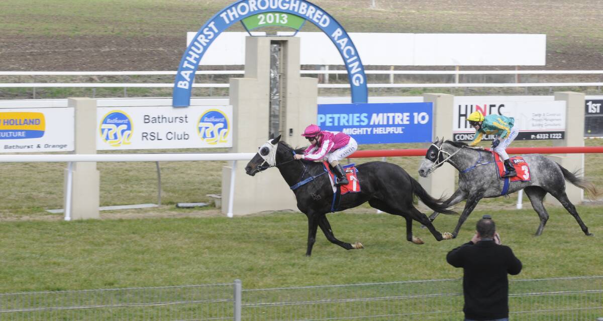 BACK IN ACTION: Bathurst galloper Grey Pariz will resume after a spell at this Friday’s Tyers Park meeting. Photo: CHRIS SEABROOK 	061113cturf1