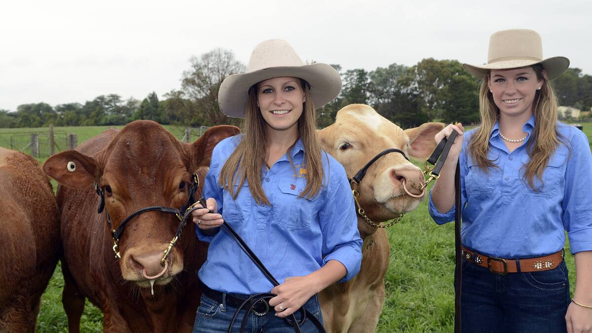 AGRICULTURAL PLACEMENT: Kendall Mallory and Courtney Crume from the University of Kentucky are on placement at The Scots School.
Photo: PHILL MURRAY 032614pscots3