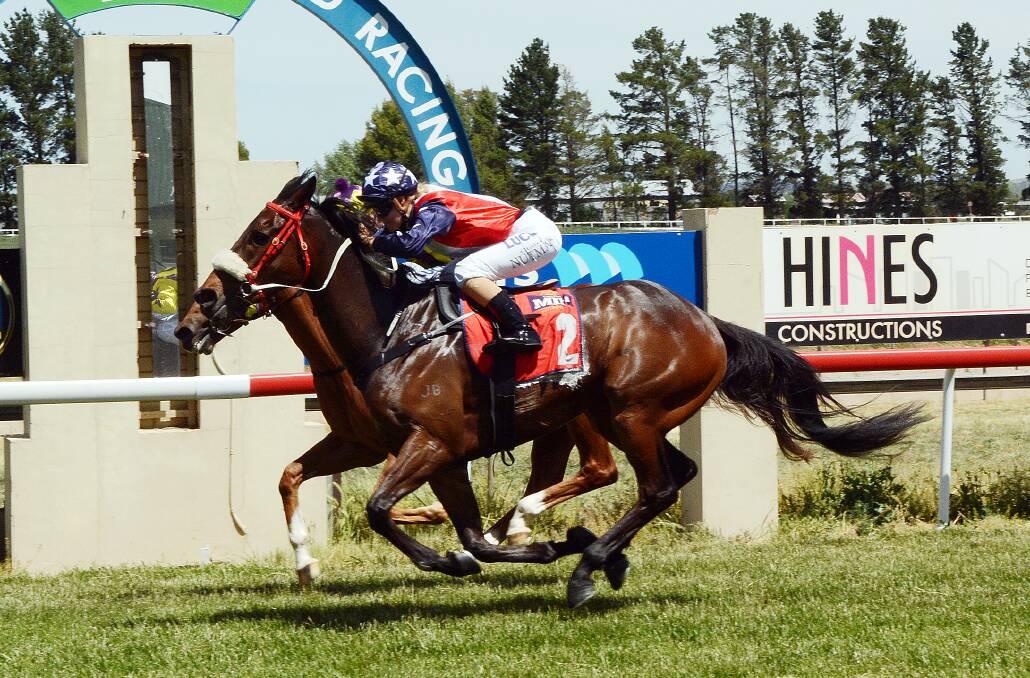 MADE IT: Claire Nutman gets Dashexpress to the line just ahead of Ritzy’s Boy in yesterday’s RSL Club Entires and Geldings Benchmark 55 Handicap (1,200m). Photo: PHILL MURRAY 103114prace1