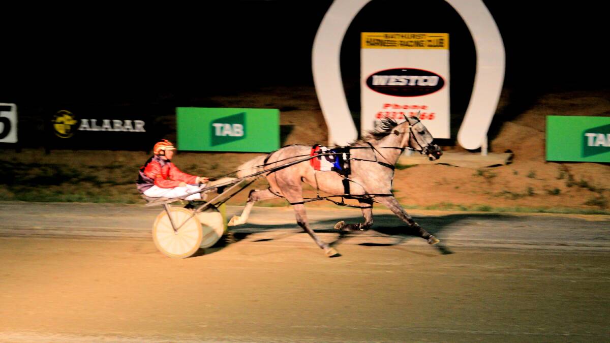 COMFORTABLE WIN: Race favourite Ireby Betty cruises to victory in Friday night's Bathurst RSL Soldiers Saddle Final for KerryAnn Turner, winning by almost nine metres from the next best-backed runner Karloo Ten Seventy. Photo: AMANDA COFFEE 122114saddlefinal