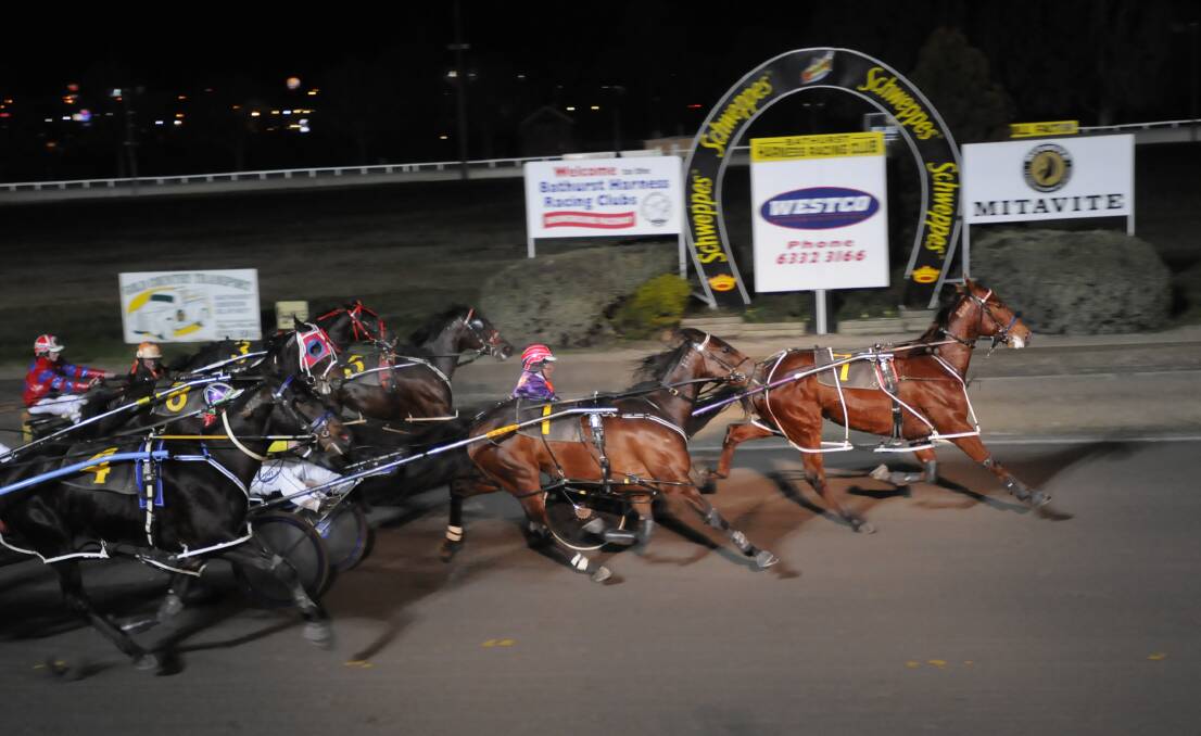 GOOD VICTORY: Lettuceparty added another win to his career record on Thursday at Penrith for Bathurst trainer Bernie Hewitt.  Photo: CHRIS SEABROOK 063010ctrots1a
