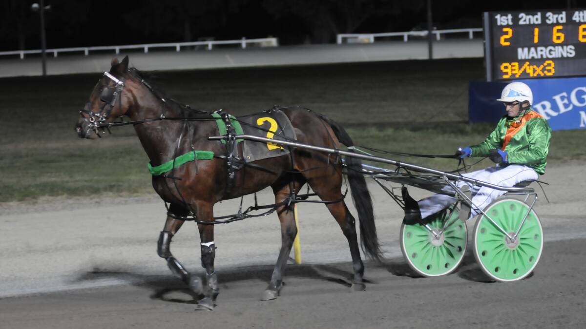 IMPROVER: A stint racing against metropolitan company at Menangle Park will see Ima Gucci Girl start as one of the favourites at the Bathurst Paceway tonight. Photo: CHRIS SEABROOK 041112ctrots2