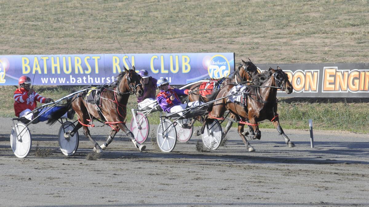 PROMISING RUN: Promises Galore (#3) leads the field home in Wednesday night’s opener at Bathurst Paceway. Kenny Dee Dee (7, left) looms up on the outside for second, while Bohemian Art (1) made sure of the sprint lane for third. Photo: CHRIS SEABROOK  111914ctrots1