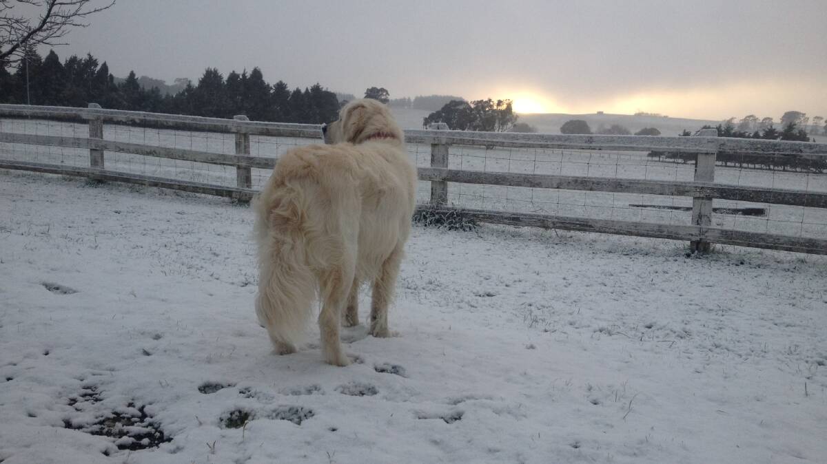 A collection of photos of Friday's snow around the Bathurst region and the Central West.