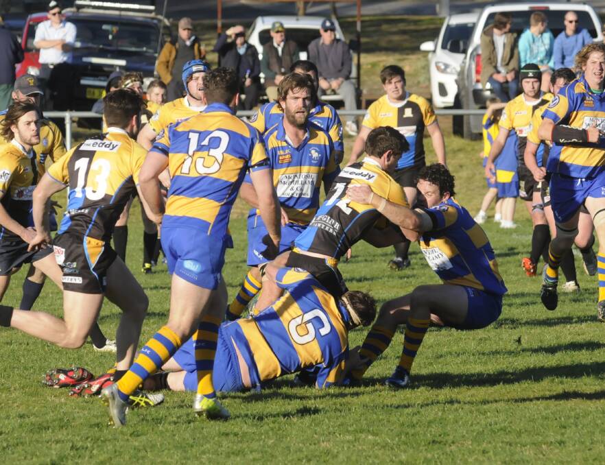 MANDATORY: Bathurst clubs Bulldogs and CSU will both be required to field under 19s colts teams in next year’s Central West Rugby Union competition. Photo: CHRIS SEABROOK 062015cbdogs