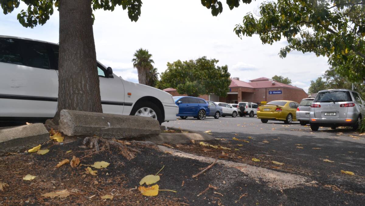 WRONG CHOICE: Damage to the car park of the Bathurst Library caused by paulownia trees.