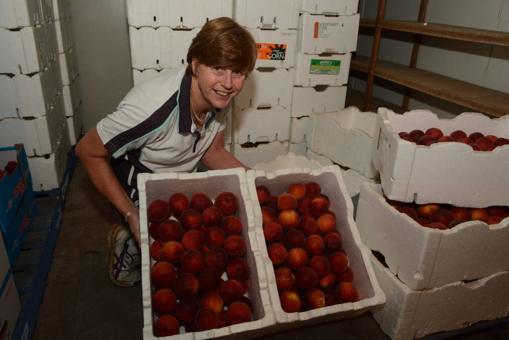 DELICIOUS: Gerbina Gordon in the coolroom at Yarralee Orchard with ripe and juicy peaches which are ready just in time for Christmas. Photo: PHILL MURRAY 120414ppeach