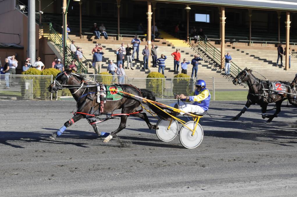 ON TRACK: On China Beach, driven by Wayne Watterson, notches up one of her five career wins at the Bathurst Paceway. While a serious injury threatened to end her career, she is now some eight weeks away from making her return to racing. Photo: CHRIS SEABROOK 111313ctrots1