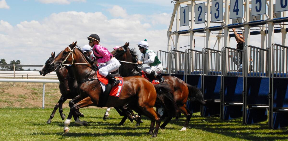 BIG FINISH: Bathurst Thoroughbred Racing Club will finish a testing 2014 year on a big note this Friday with their final meeting. Bathurstian will contest a Benchmark 60 Handicap (1,800 metres). Photo: ZENIO LAPKA 012113zgallops2