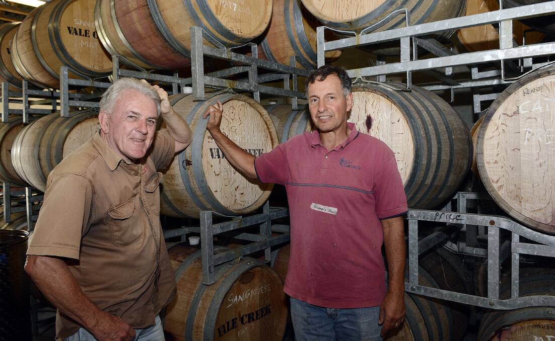 TOUGH SEASON: Winemakers Tony Hatch and Mark Renzaglia have both had crops wiped out in this year’s difficult wine season.  Photo: PHILL MURRAY 040814pwine