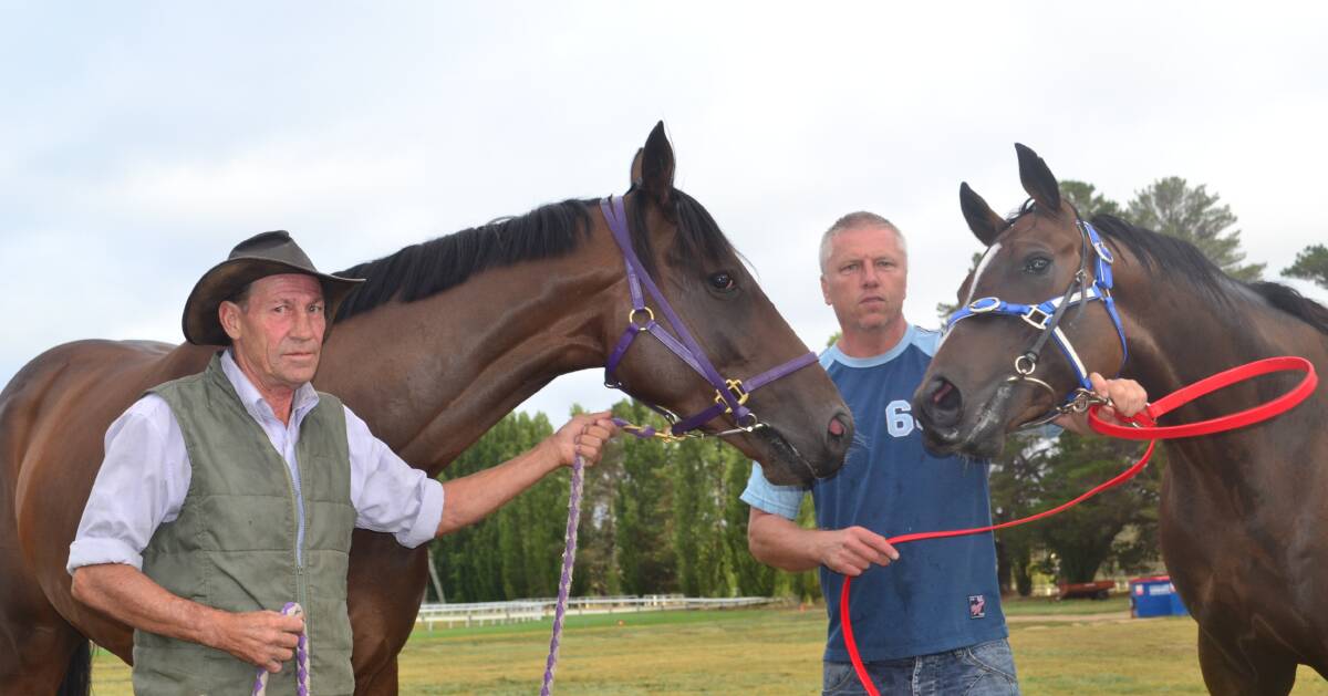 EYEING IT OFF: Bathurst trainers Peter Stanley with King Derota and Dean Mirfin with Oywotzy, as the pair look towards tomorrow’s Country Championships heat at Tyers Park.  Photo: ALEXANDER GRANT 022615agkingwotzy