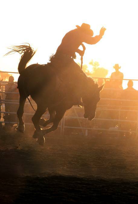 Brett Bowtell rides into the sunset at the Chiltern Rodeo. Picture: PETER MERKESTEYN – The Border Mail