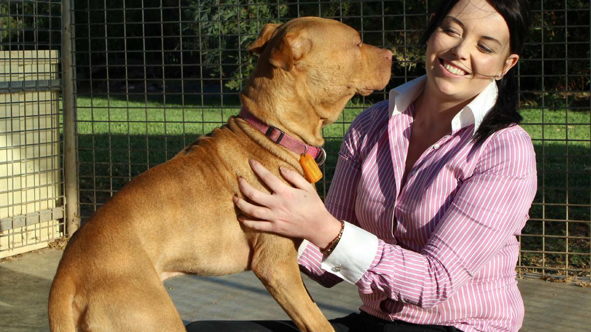 Port Augusta: His owner has been found guilty of neglect but Sid has managed to make a full recovery with the help of RSPCA SA executive manager of animal operations Kierann Campbell.