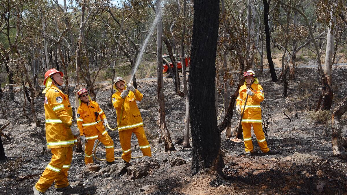 RED ALERT: NSW Rural Fire Service volunteers working at a recent hazard reduction conducted at Napoleon Reef. Work like this helps to reduce fire risk to the Bathurst community during the predicted hot weather over the next few days. 	 111114pfire