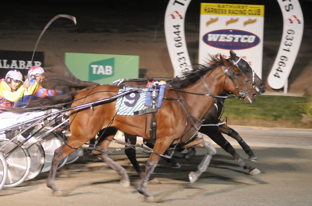 NAIL BITER: In a tight finish to the Gold Crown Final it was Shadow Runner, driven by Michael Formosa (whip in air) who won by a nose. Photo: CHRIS SEABROOK	 032815crown1c