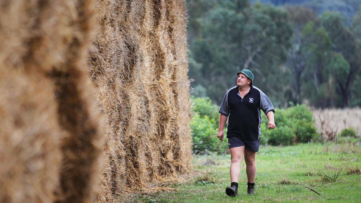 Griffith truck driver and brainchild of the Bourke Hay Run, Brendan Farrell, can almost rest after months of hard work and 50-hour weeks spent organising the campaign. Picture: Border Mail