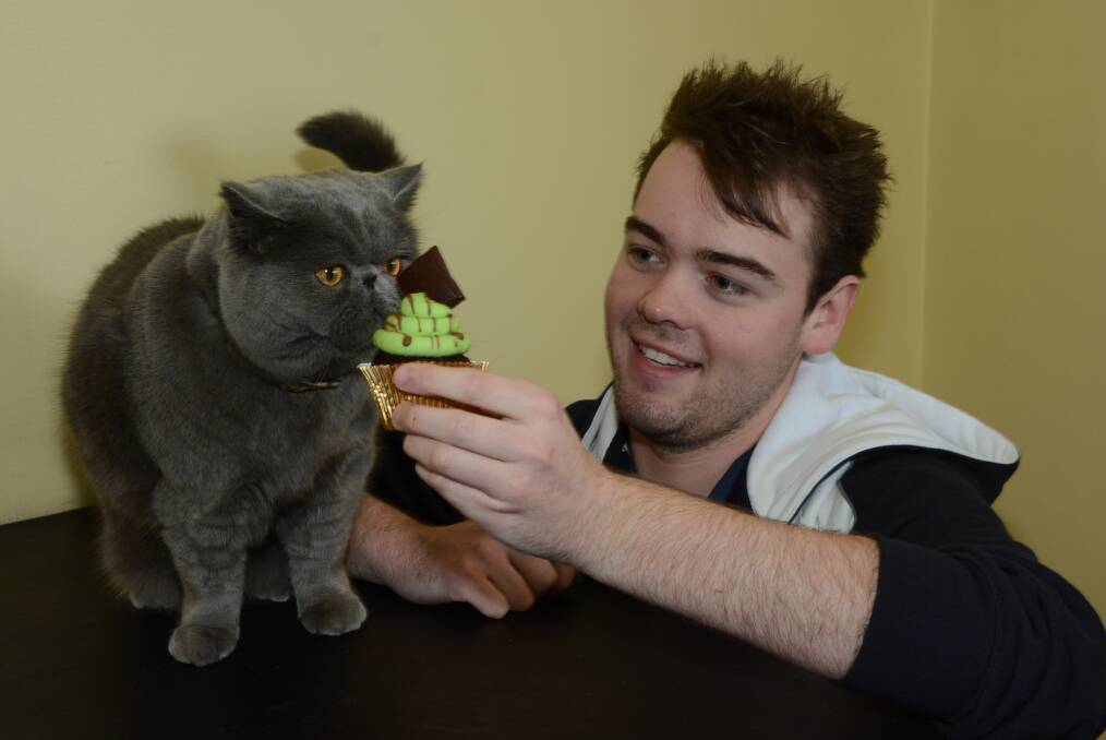 ICING ON THE CAKE: Stewart Street Veterinary Hospital vet nurse James Wright offers a special pet-friendly treat to Buttons the cat ahead of Cupcake Day to raise funds for the RSPCA. Photo: PHILL MURRAY 080814pbuttons