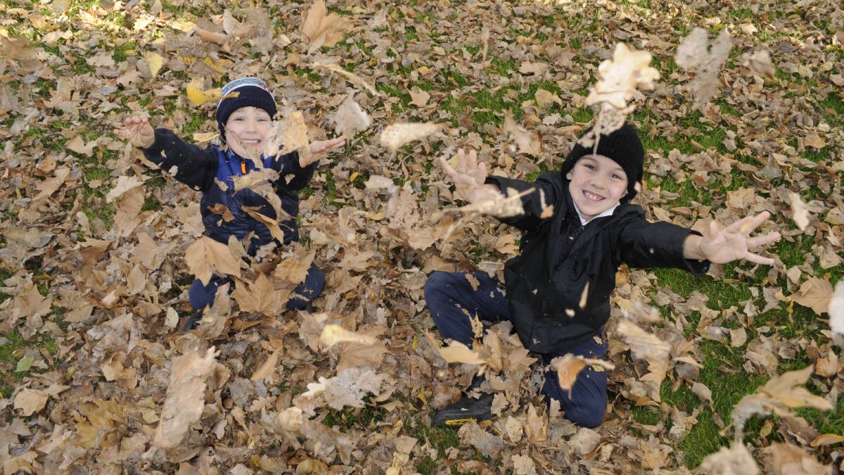 FALL GUYS: Brothers Finn, 5, and Van Russell, 8, enjoyed playing in the leaves at Machattie Park on the last day of autumn yesterday. Photo: CHRIS SEABROOK 053116cwinter