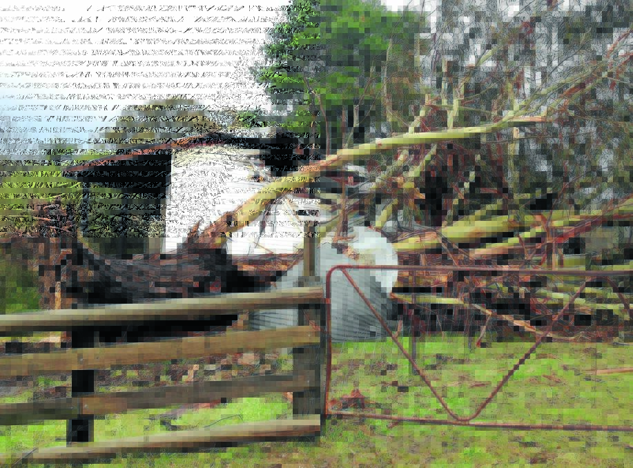 SMASHED: A wild storm left a trail of destruction through a Duramana property last July. Bathurst’s State Emergency Service has encouraged people to get prepared for the storm season which started today. Photo: SUPPLIED 092918storm1