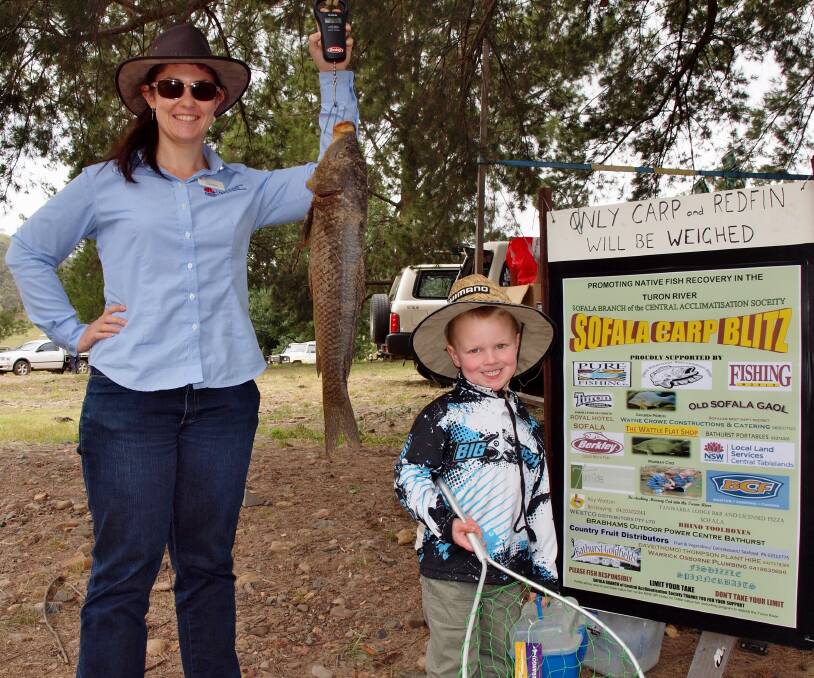 FAMILY FUN DAY: Central Tablelands Local Land Services’ Clare Kerr weighing Josh Wotton's fish at last year's Sofala Carp Blitz. Photo: SUPPLIED 111516carp