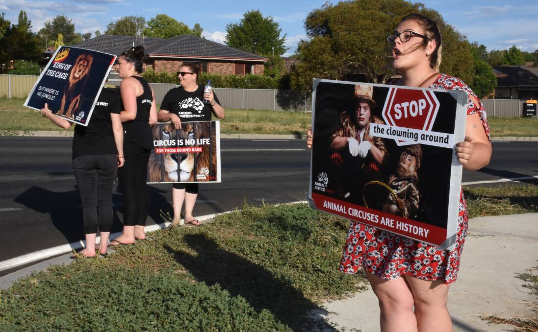 KING OF THE CAGE: Animal Justice Party members protesting outside the Stardust Circus in Kelso on Saturday afternoon. Photo: NADINE MORTON 021018nmprotest4