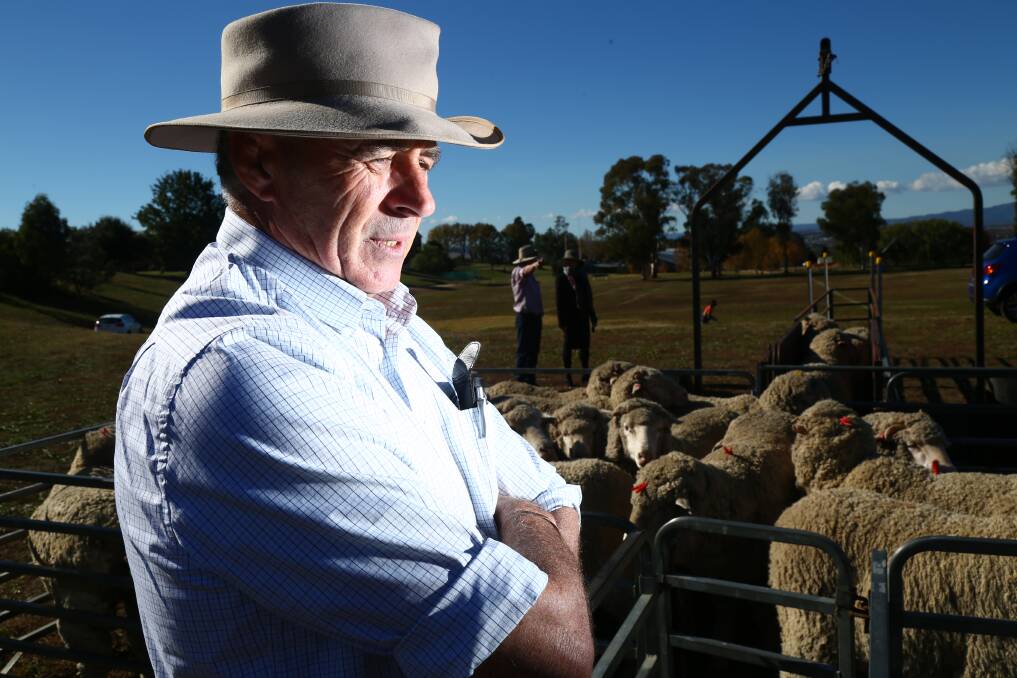 EXPERT ADVICE: Australian Wool Innovation sheep industry specialist Stuart Hodgson during his training session on merino sheep at St Stanislaus' College. Photo: PHIL BLATCH 051017pbmerino3