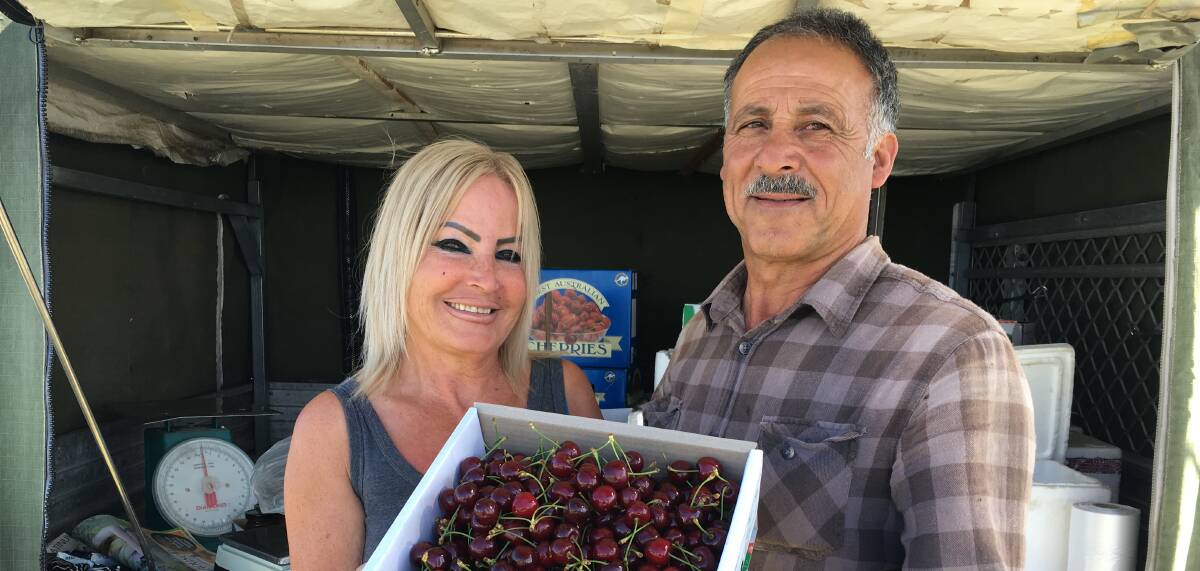 SWEET: Lorraine and Sam Kaznouz with their season's first batch of cherries picked from their Raglan farm. Photo: NADINE MORTON 112516nmcherries1