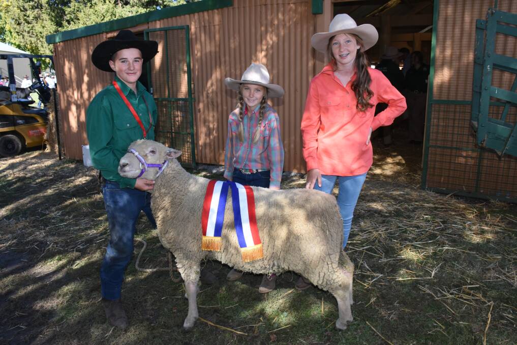 TOP TIME: Westray Stud's Jake Webster, 13, with Lily, 9, and Jessica Kovac, 13, and their champion southdown ram. Photo: NADINE MORTON 042817nmshow9