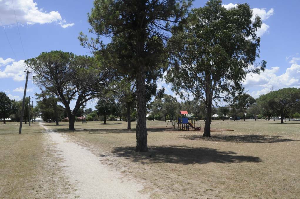 WORK NEEDED: Calls for improvements to Centennial Park have been made for more than 100 years. Photo: CHRIS SEABROOK 011917cpark1b