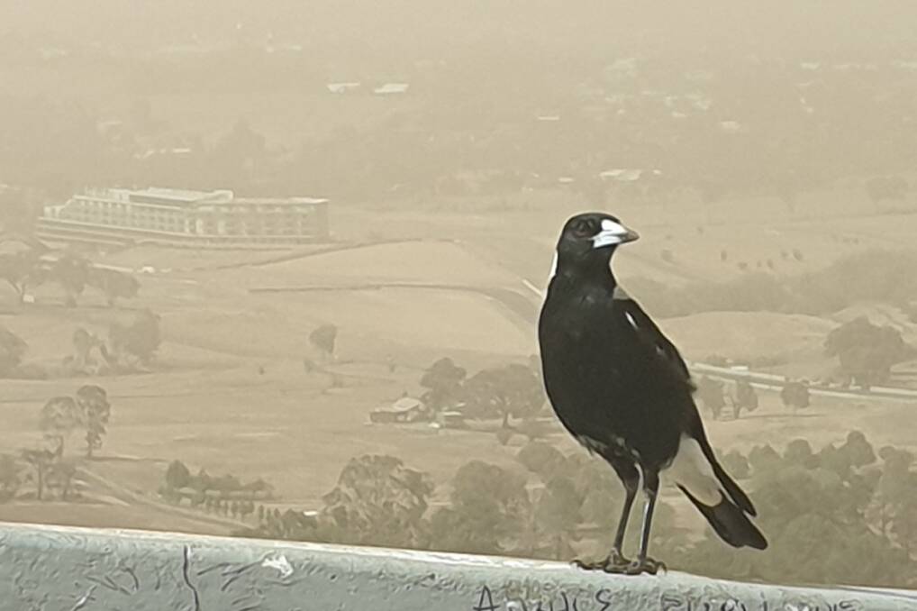 PHOTOS: Bathurst was swallowed up by the dust storm on Tuesday.