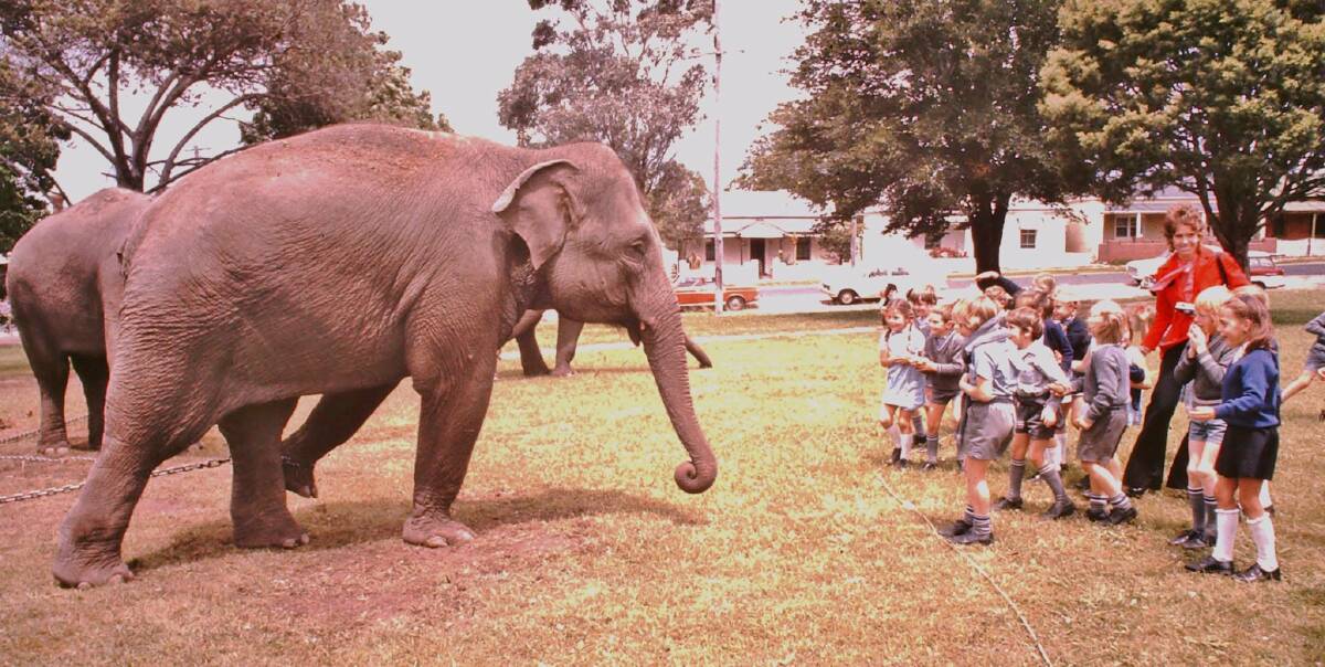 FLASHBACK: Bathurst Public School students on an excursion to Centennial Park to see Ashton’s Circus, circa 1973.