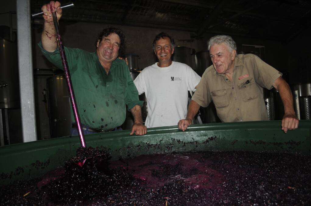 CHEERS: Winemakers Andrew Macarthur, Mark Renzaglia and Tony Hatch with red grapes during the fermentation process. Photo: CHRIS SEABROOK 032117cgrapes